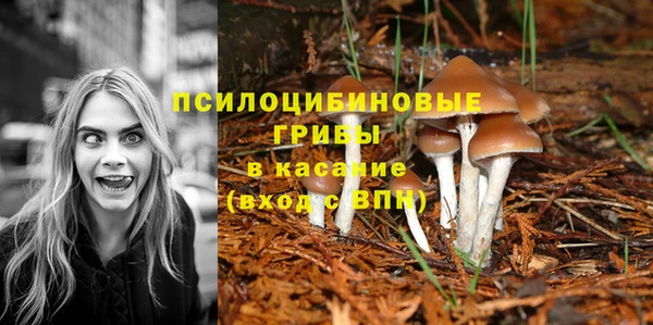 кокс Богданович