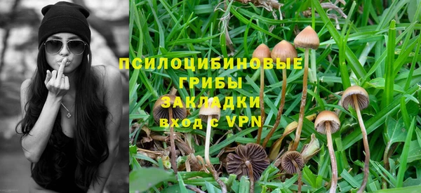 мет Богородицк