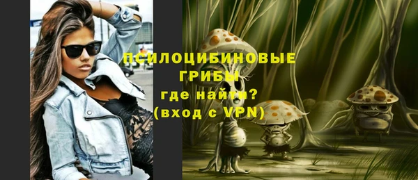 экстази Белокуриха