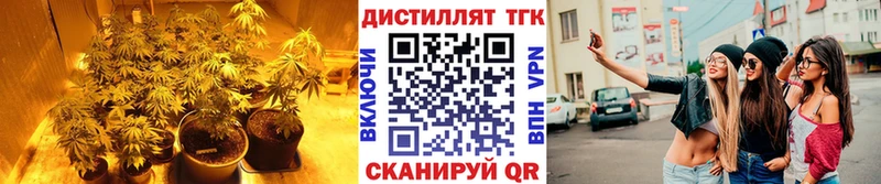 Дистиллят ТГК Wax  как найти   Бронницы 