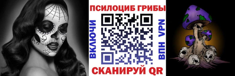 Галлюциногенные грибы Cubensis  наркошоп  Бронницы 